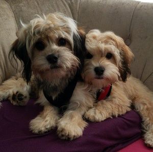 Meet your Posher, Roberta